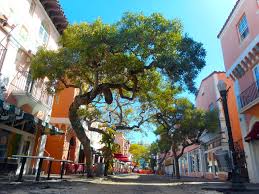 The Pretty tree lined street of Espagnola Way - home ot artists, poets, crooks and gangsters.